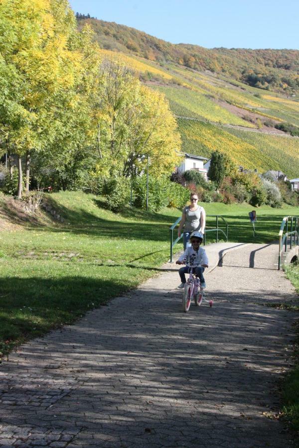 Fewo-Am-Rotheschbach Zell an der Mosel Exteriér fotografie