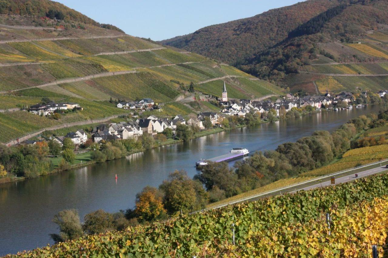 Fewo-Am-Rotheschbach Zell an der Mosel Exteriér fotografie